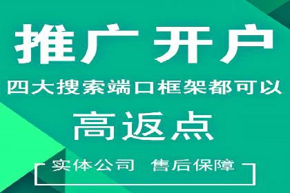 专业SEM托管服务，案例解读SEO优化策略
